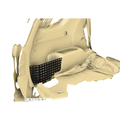Driver-side Steel Trail Cubby fitted in a 5th Gen 4Runner cargo area (CAD preview)